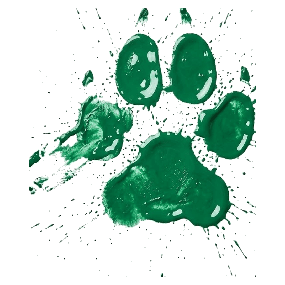 The studio takes over.